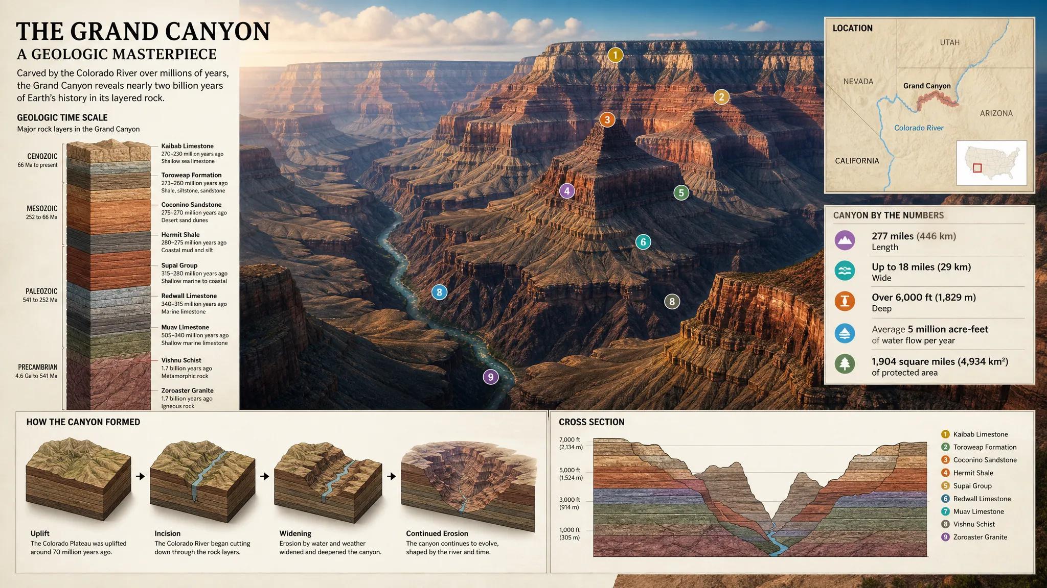 Infografiken und Diagramme