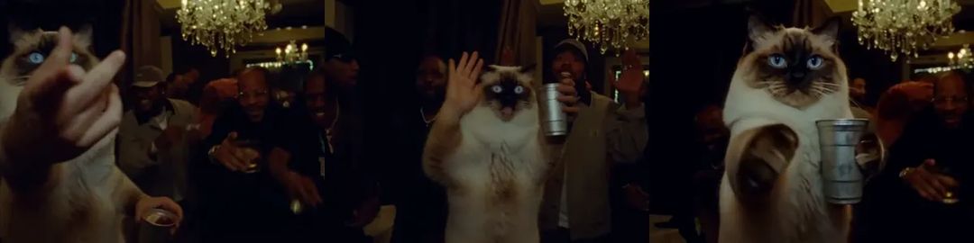 In a test run the ragdoll cat grows human hands for the V sign and the wave; on the right, the current result with cat paws