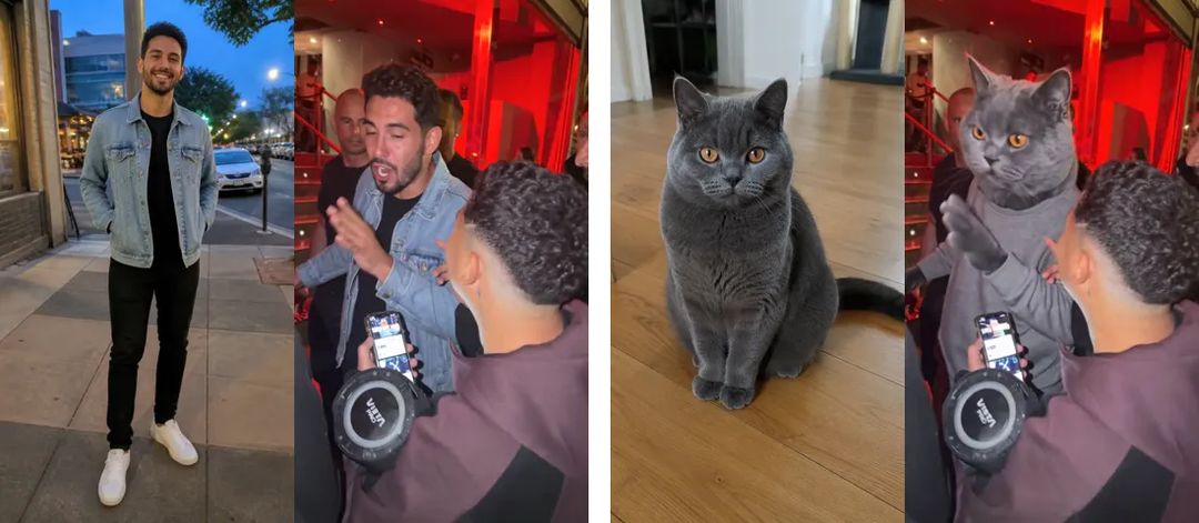 Las fotos al lado de los resultados: un hombre con chaqueta vaquera le responde al freestyler; un British Shorthair gris con un conjunto deportivo gris hace lo mismo