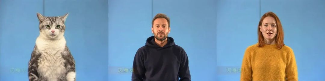 The opening close-up of three clips: a silver tabby cat, a man in a navy hoodie and a woman in a mustard sweater