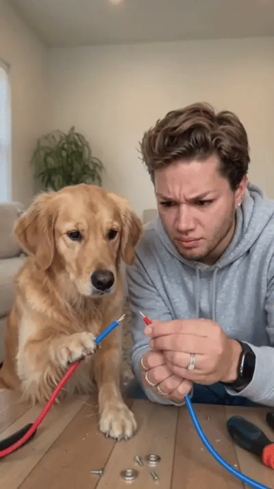 Golden retriever og mand med sod i ansigtet efter en gnist
