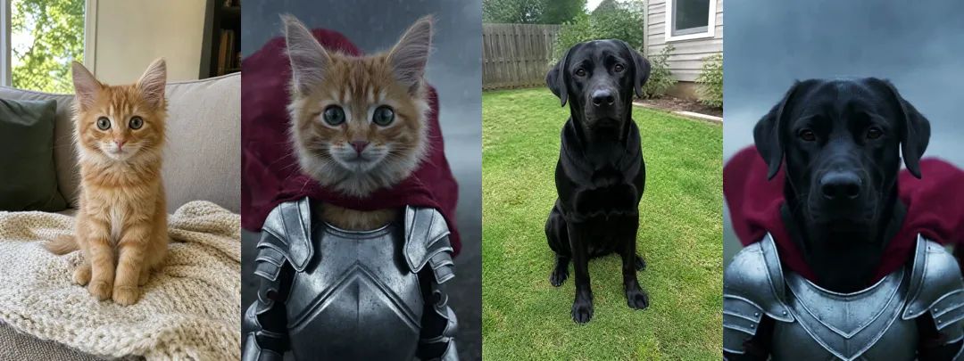 Photo next to result: an orange kitten and a black Labrador as knights, coat and eye colour unchanged