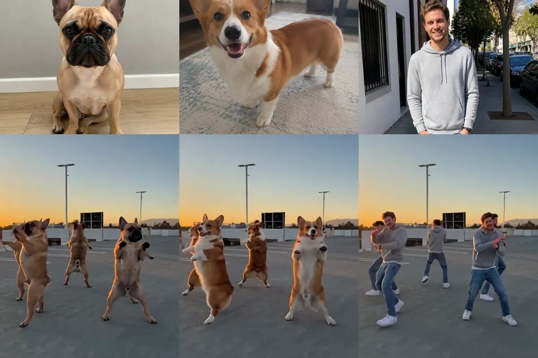 Photos next to results: a French bulldog, a corgi and a man in a grey hoodie, each copied into a five-strong crew dancing on the rooftop