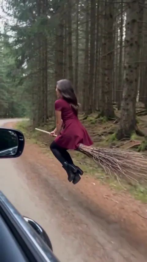 Mitten im Flug neben dem Auto auf dem Waldweg