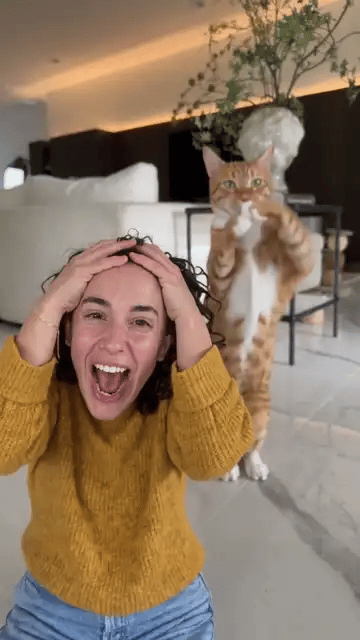 A woman in a mustard sweater holds her head and screams into the lens while an orange tabby cat dances on its hind legs behind her