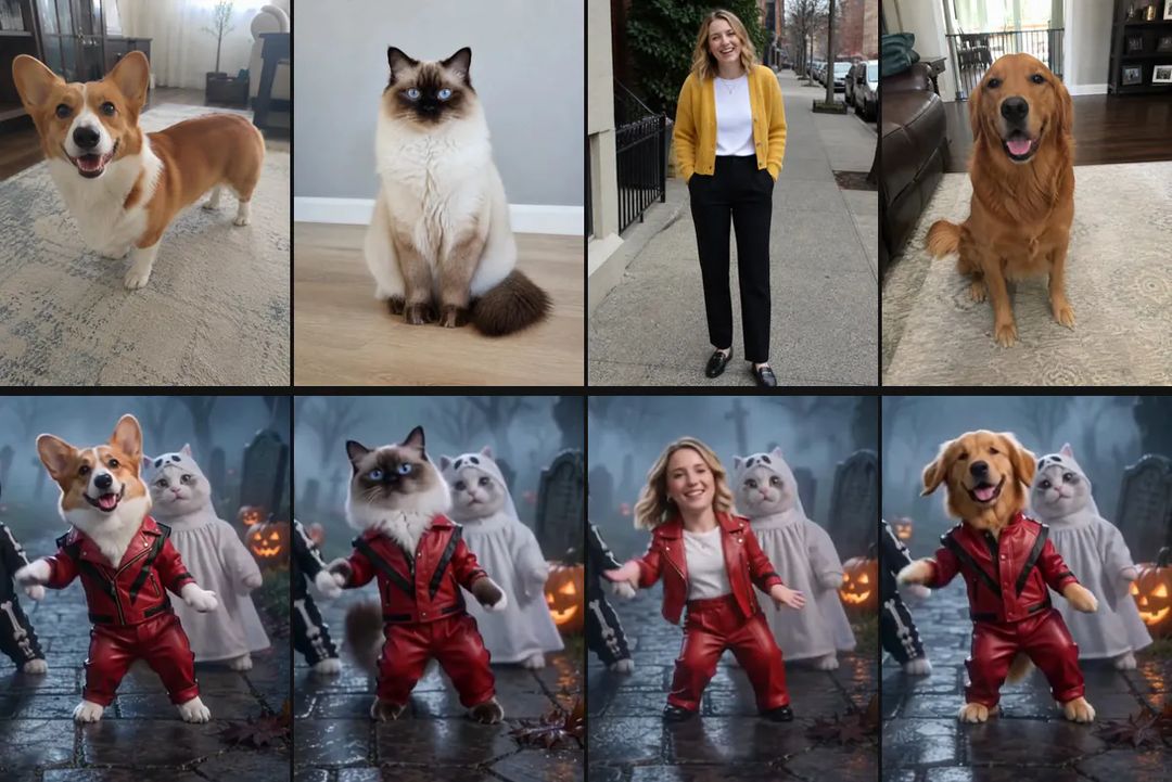 Photos and results side by side: a corgi, a ragdoll cat, a woman in a yellow cardigan and a golden retriever, each one wearing the red leather jacket next to the jack-o'-lanterns and the ghost kitten in the row below