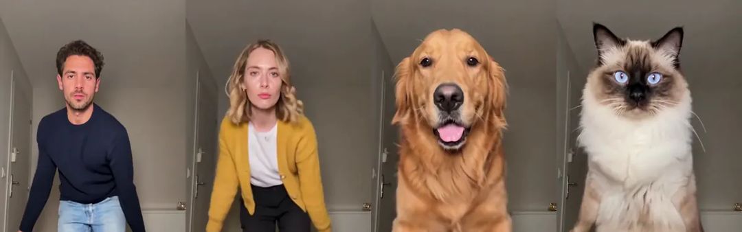 The opening close-ups side by side: the man in the navy sweater and the woman in the yellow cardigan with straight faces, the golden retriever grinning with its tongue out, and the ragdoll cat staring with blue eyes