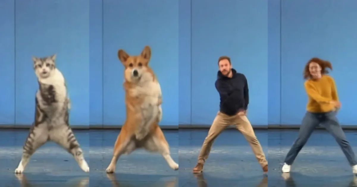 How to Make a Dodge Step Video Starring Your Cat, Dog or You