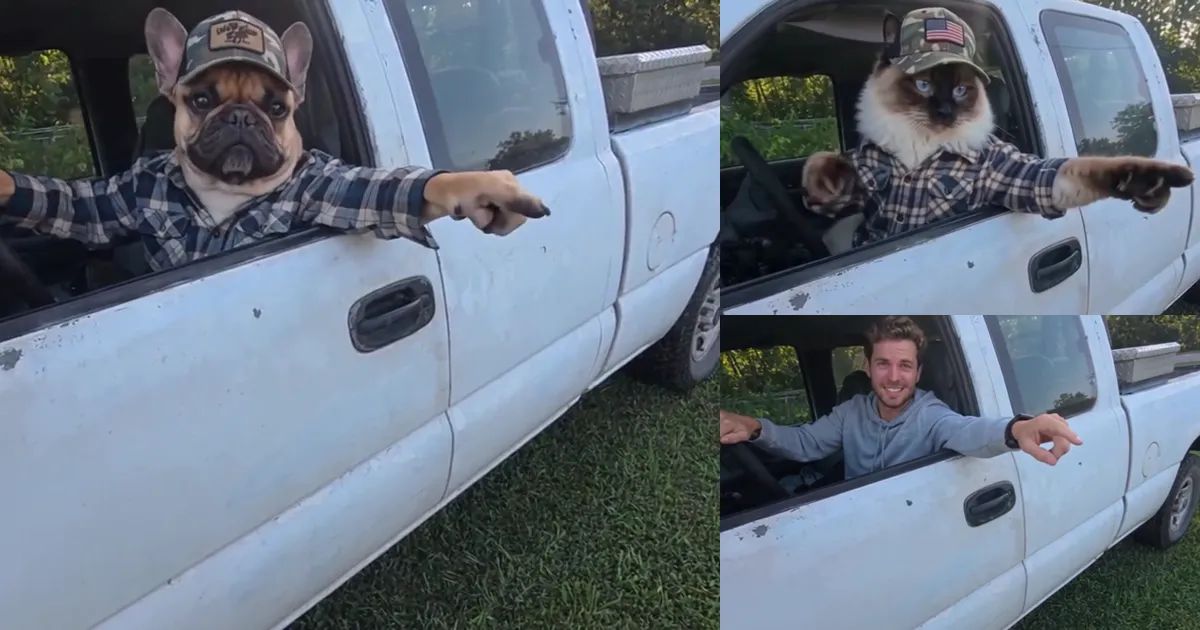 Hit the Road Dude Meme: Put Your Pet in the Grumpy Driver's Seat