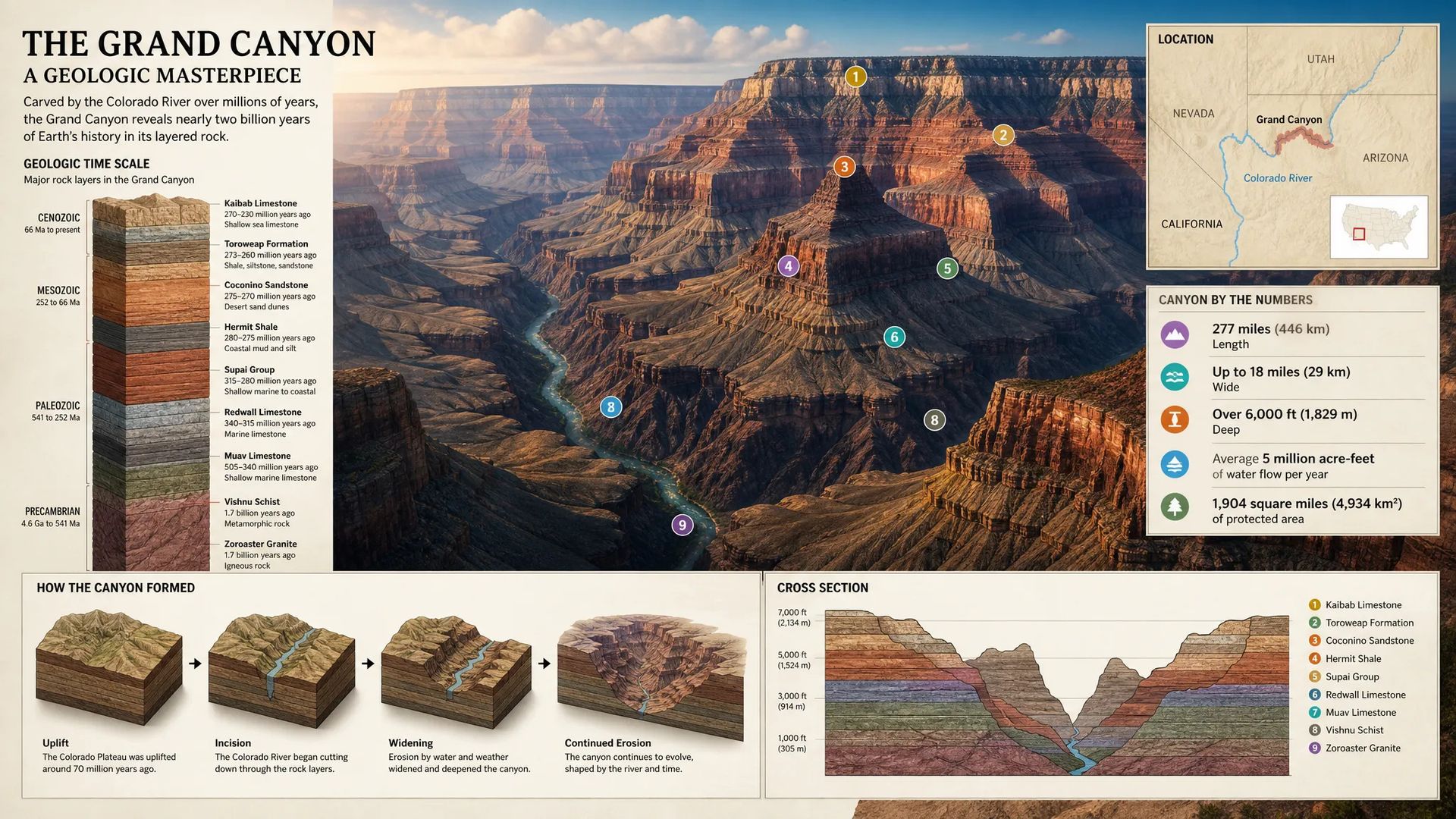 Infographics and diagrams